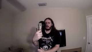 Disturbed - A Reason to Fight vocal cover