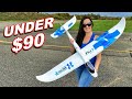 She THROWS Him UNDER THE BUS for SCREW UP!!! - Sky Surfer X8 1480mm RC Airplane - TheRcSaylors