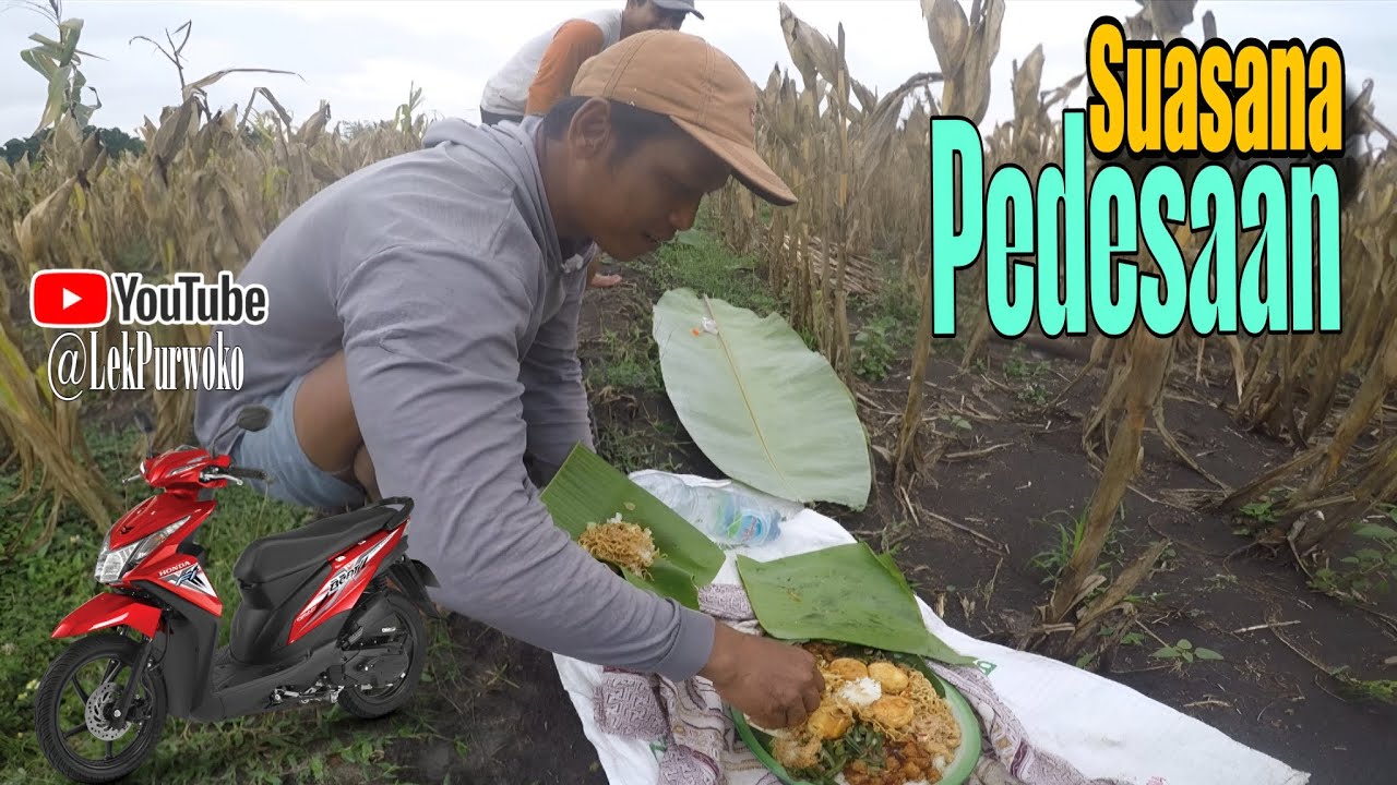 SARAPAN SEDERHANA DI TENGAH KEBUN JAGUNG | Lekpurwoko