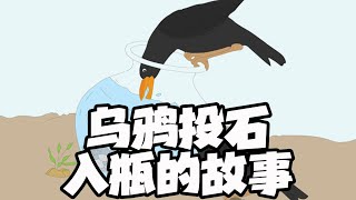 学生作品：《乌鸦喝水》 #school #scratch3 #animation