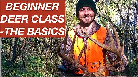 DEER Hunting For BEGINNERS! The Basics