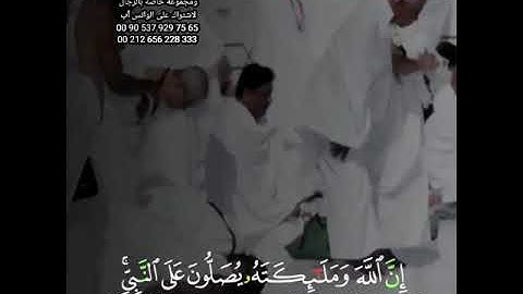 القارئ نايف فيصل حالات واتس اب عن يوم وليلة  مقاطع قصير انستغرام مقاطع قصير استوري