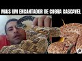 Encantador de Cobra Cascavel,  mais um... | Biólogo Henrique o Biólogo das Cobras