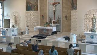 Friday of the Fifteenth Week in Ordinary Time