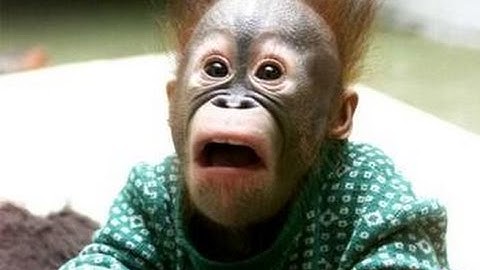 Secret Algo Bot Review - SCAM? The SHOCKING Truth Revealed!