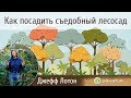 КАК ПОСАДИТЬ СЪЕДОБНЫЙ ЛЕСОСАД (Джефф Лотон)