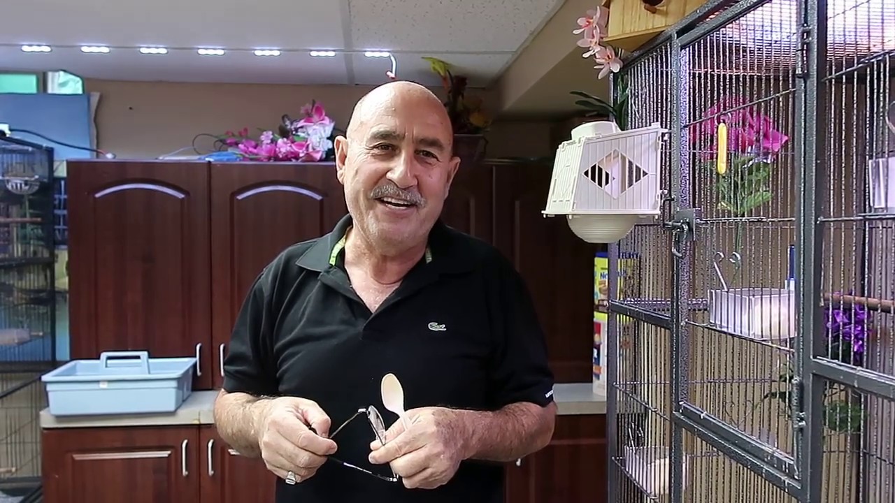 لا تطعم البلابل الدود القبابي حاول ان تكاثره لتستفاد  منه في موسم انتاج الافراخ