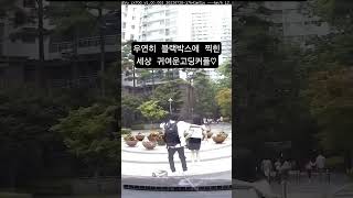 사랑스러운 고딩 커플 #쇼츠 #짤방 #꿀잼 #예능 #웃음