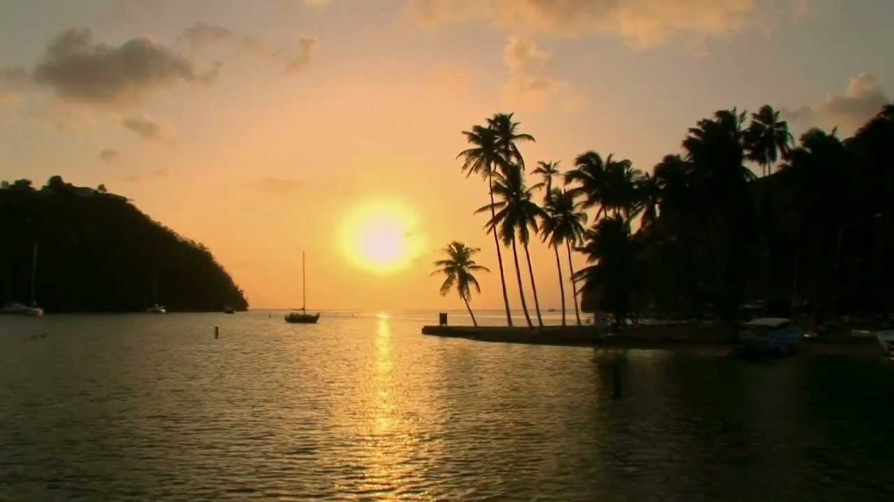 Miracles of nature trailer YouTube