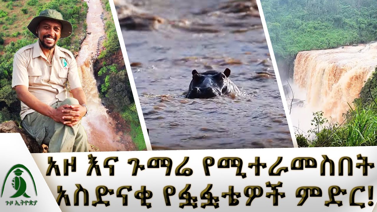 አዞ እና ጉማሬ የሚተራመስበት አስድናቂ የፏፏቴዎች ምድር! | ጉዞ ኢትዮጵያ | @NBCETHIOPIA