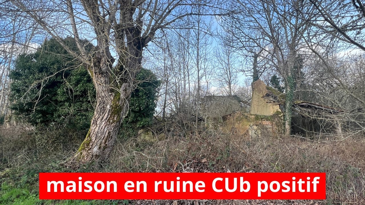 Maison en ruine à vendre près de Gouzon, avec CUb positif rénovation