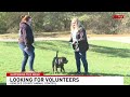 OVERCROWDED, UNDERSTAFFED: Genesee County Animal Control seeks volunteers