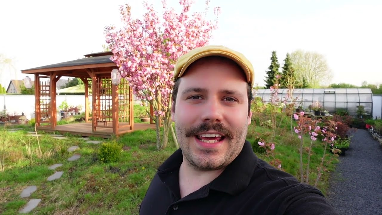 strmpfe bambus 5 Paar Vorteilspack Sttzstrmpfe "Bambus" Komfort Rosa/Lila  Stylocks