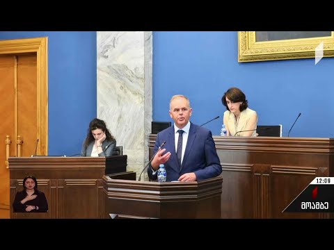 ირლანდიის საპარლამენტო დელეგაციის ვიზიტი