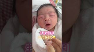 生後2時間で人生初のくしゃみをする赤ちゃん #baby #新生児 #くしゃみ #実況ベイビー  fuu_251209さんより!