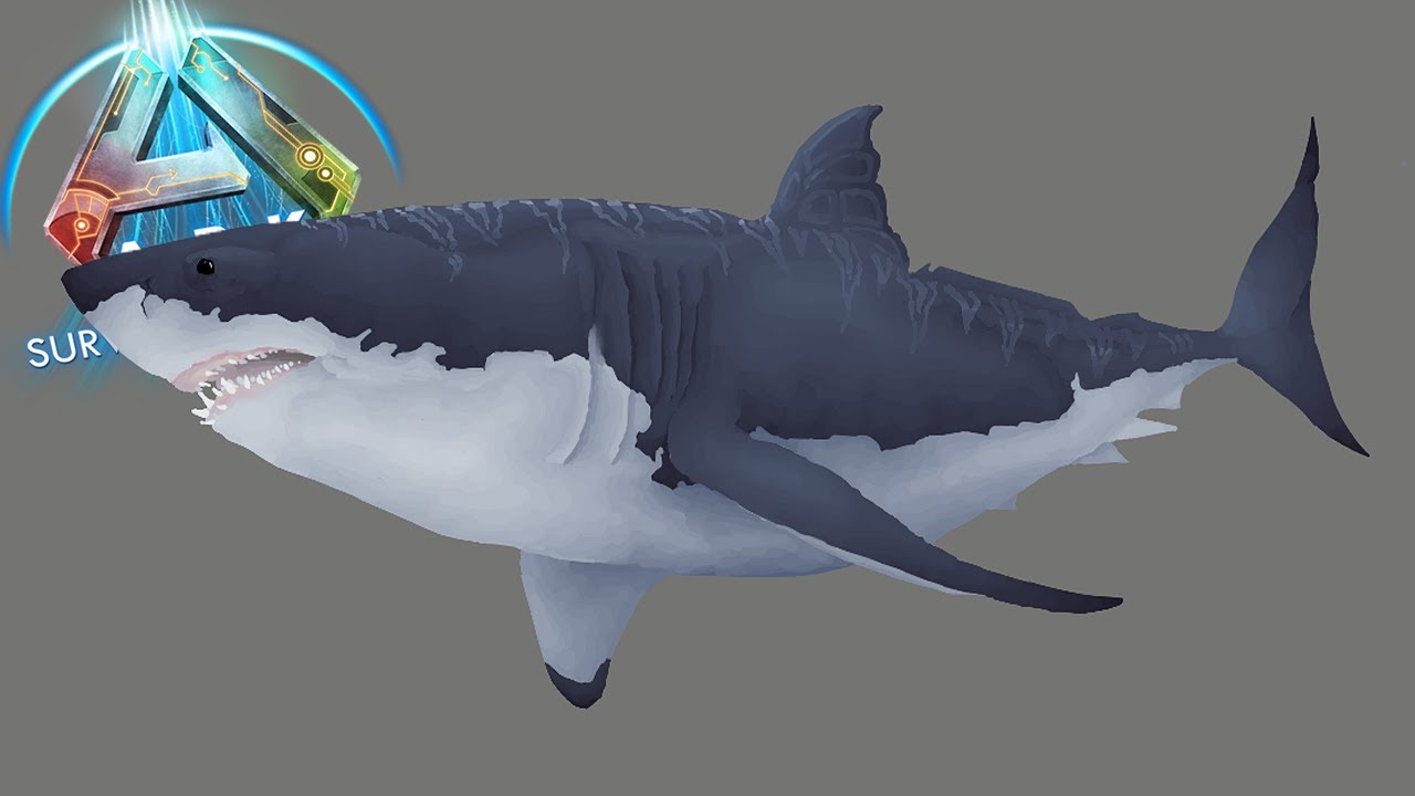 ASI PODRIA SER EL *NUEVO TLC* PARA EL MEGALODON