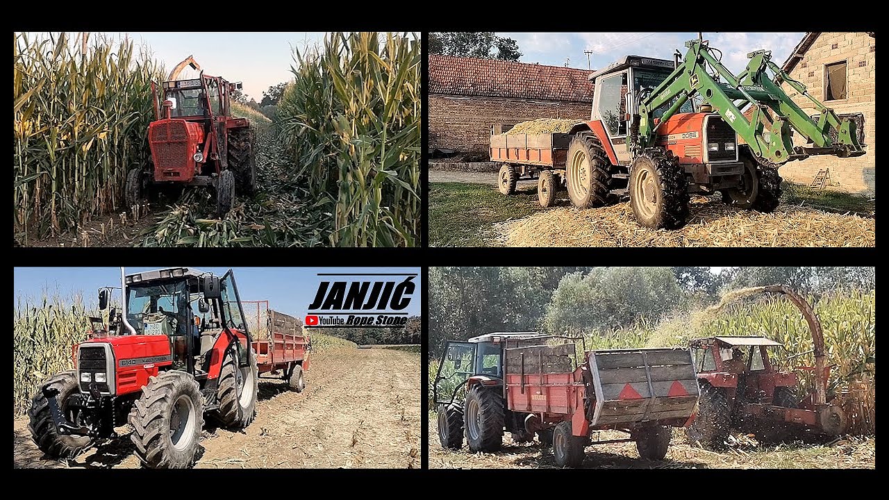 ◀️🌽SILAZA SILIRANJE KUKURUZA 2024 🌽 IMT / LIFAM / MASSEY FERGUSON / LOZNICA / WELGER / STRAUTMANN ▶️