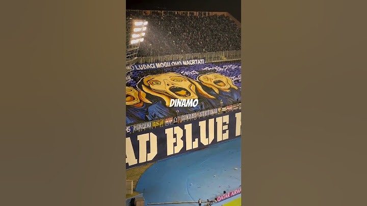 Dinamo Zagreb tifo 🇭🇷                           #football #croatia #fans #zagreb #shorts