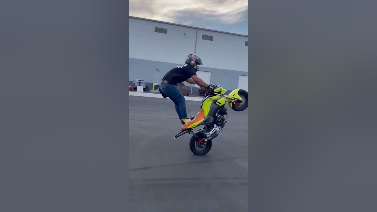 honda grom wheelie mods