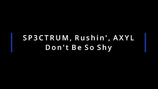 SP3CTRUM, Rushin', AXYL - Don't Be So Shy (Lyrics)