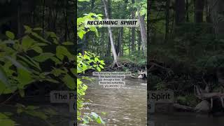 Reclaiming Spirit is Ancestral Healing #healingjourney #spirit #nature