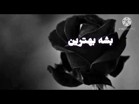 تصویری: آیا می توانی برای همیشه عاشق کسی باشی؟