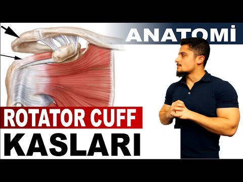 Rotator Cuff / Rotator Manşet Kasları Anatomisi