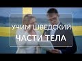 Язык изучение Шведского: учим языки с нуля: части тела!