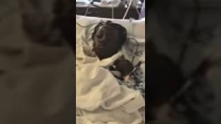 Boy Adopted ￼By Cop Who Saved Him From Murderous Father ❤️❤️