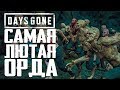 САМАЯ БОЛЬШАЯ ОРДА! ● DAYS GONE (ЖИЗНЬ ПОСЛЕ) ● ЧАСТЬ 38 ● PS4 PRO