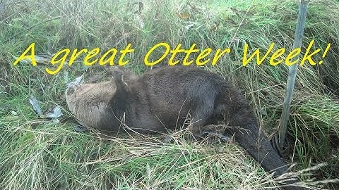 Trapping out West part 4...It