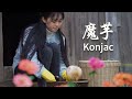 【杨大碗】Konjac tofu 用魔芋做的豆腐，很多人都没吃过，配上自家的酸豆角，这味道绝美