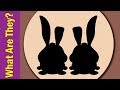 Guess the Objects Quiz