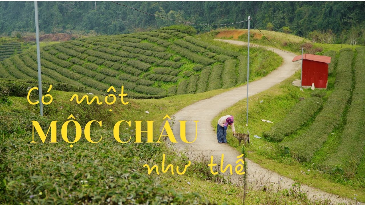 Khám phá Mộc Châu trong 2 ngày: tìm nơi vắng khách mà vẫn MÊ