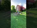 Erde ist lecker #shorts #mtb #shortvideo #amtb #automobile #bikelife #downhill #jump #fail #fyp