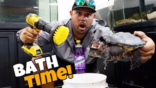 Purple BATH TIME for GODZILLA SNAPPING TURTLE! **ToothBrush Treatment Method** by Joey Slay Em 12,027 views 1 year ago 16 minutes