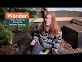 Meet and Greet: Wonder the Porcupine!
