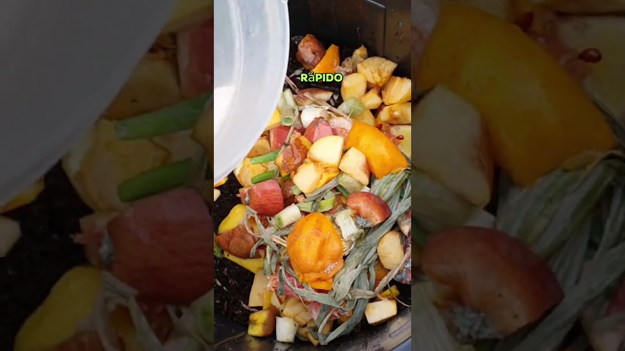 3 consejos para hacer composta en casa🍂✅  