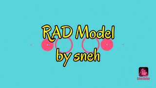 Rapid Application Development Model (unit 1. 17)
