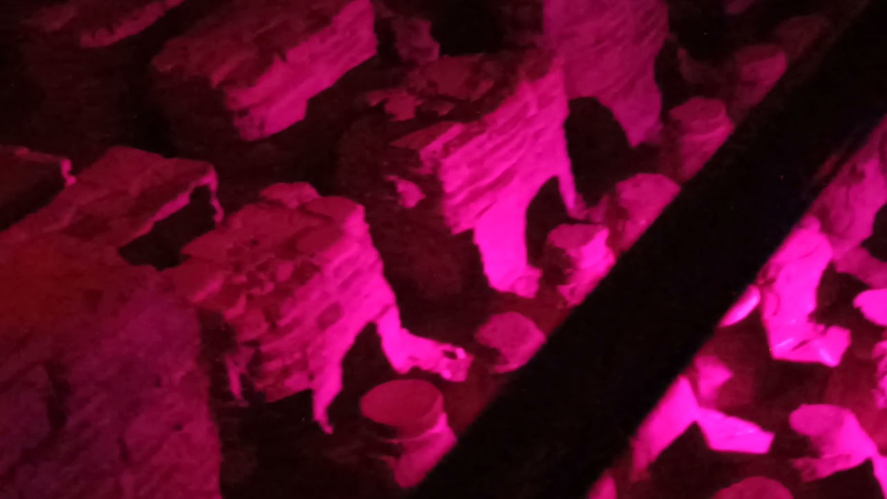 בית המרחץ של בית שאן בליל