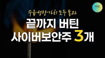 AI 기술이 발전할수록, 보안의 가치는 커진다. 뜨는 사이버보안주 TOP3