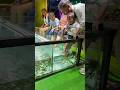 NR Fish Spa🥰 Besant Nagar beach +919952085544 #youtubeshorts #spa #cute #fish #yt #youtube #chennai