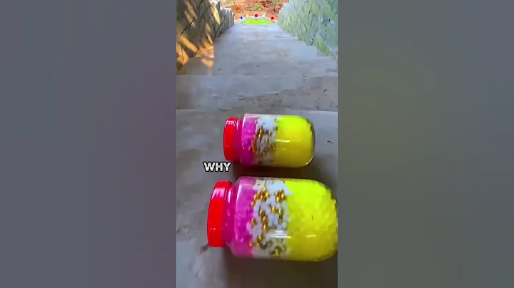 Gregory's Secret | Abbott Elementary |