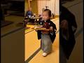 上手に配膳する子供