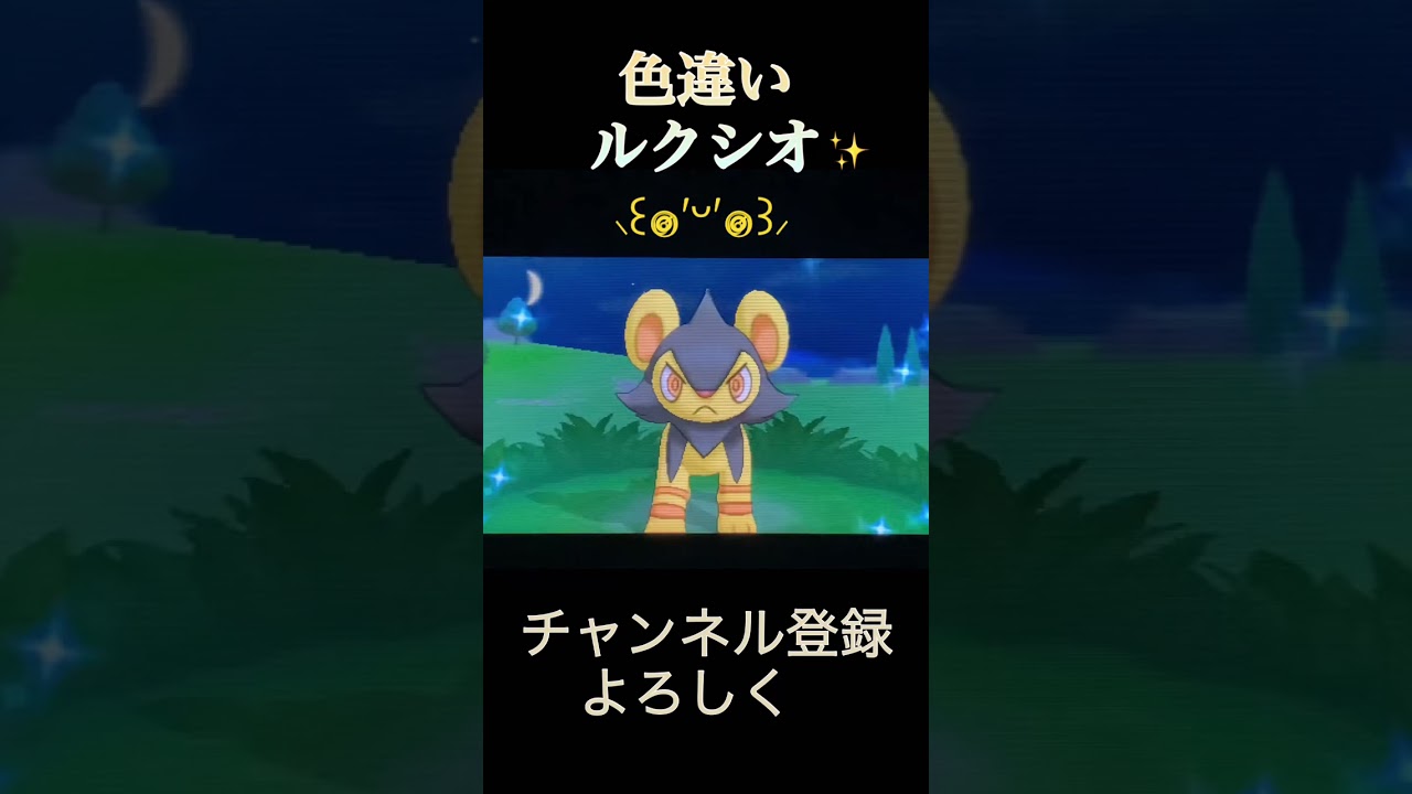 色違いルクシオ ポケモンxy Youtube