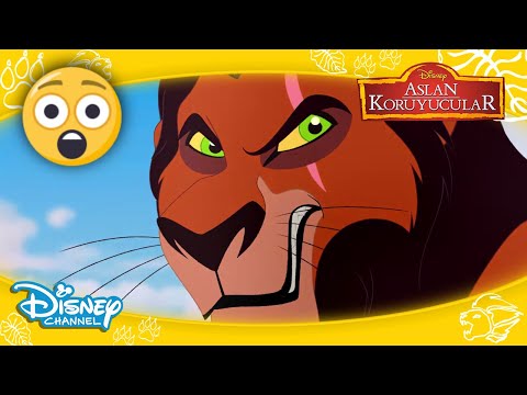 😮🎶SCAR'IN ŞARKISI🎵😱| Aslan Koruyucular | Disney Channel Türkiye