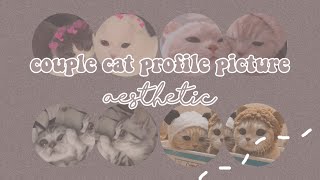 aesthetic couple cat profile pictures | cute, aesthetic, couple