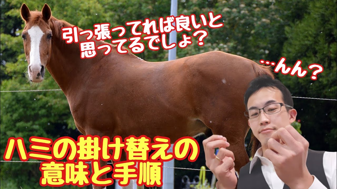 止まらない馬の制御に便利？ハミの掛け替えの効果について