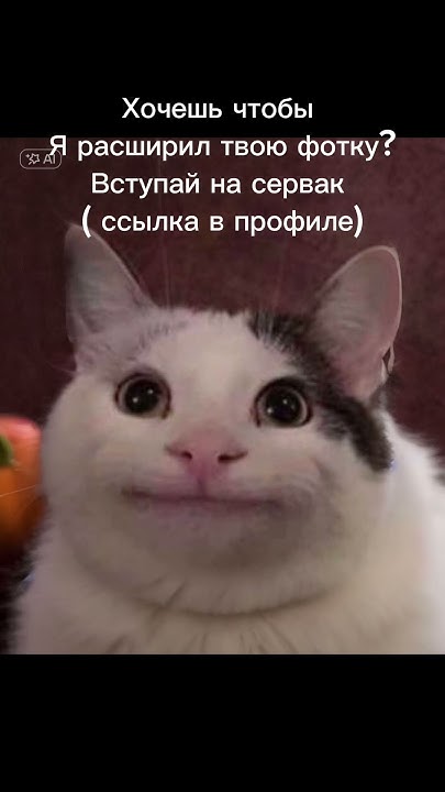 Расширил белугу #мемы #meme #белуга #нейросеть - YouTube