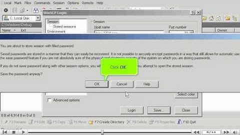 Configuring your website in WinSCP by VodaHost web hosting